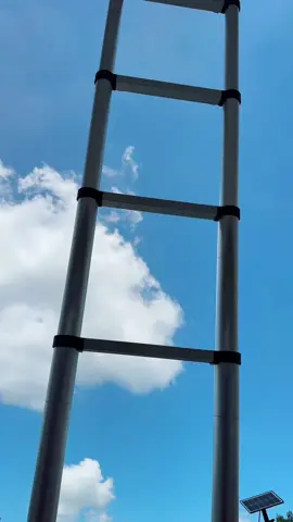 It’s the Telescopic Ladder—made of strong aluminum, holds up to 330 pounds