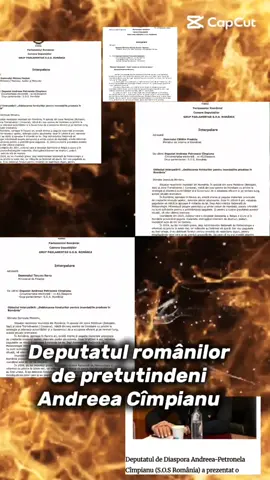 @Ilie Morar @Aurica  Basaraboc @🇷🇴🕊@Lumi.SOS.RO🆘️ @Daniel Stanciu @Gabriela Mateiu 49 Oficial @Gaby Voinea @ARTIȘTII NEAMULUI ROMÂNESC🇹🇩 @Alexandru 🇦🇹🇷🇴 @simona @Helena Divina #f #romania🇷🇴 #romanidepretutindeni #fouryou #fyp 