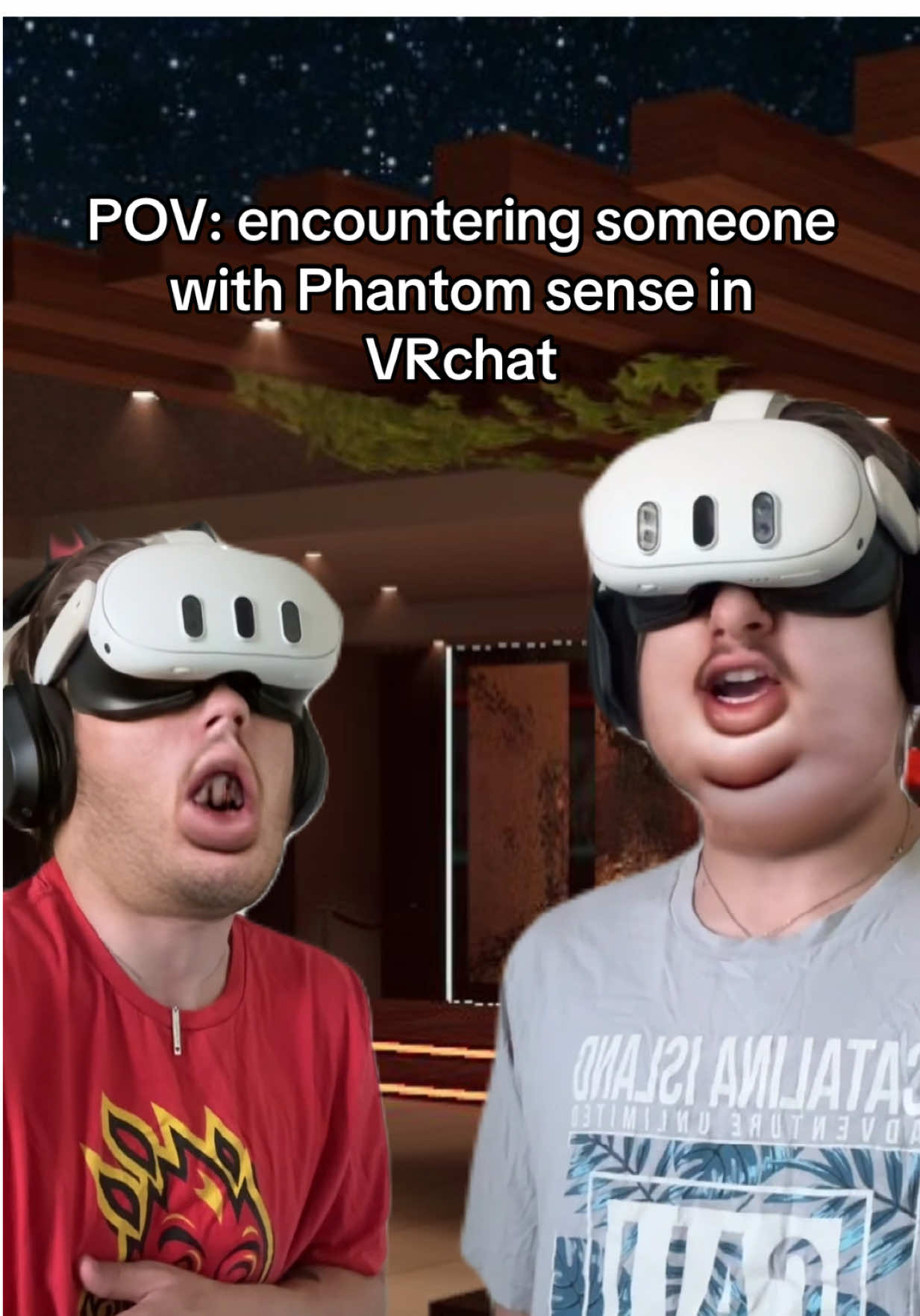 Uhm I have phantom sense #vrchat #vr #fyp #vrchatcommunity #cringe #gaming #discord