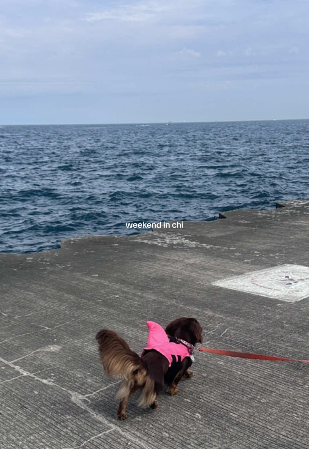 I love my home #chicago 