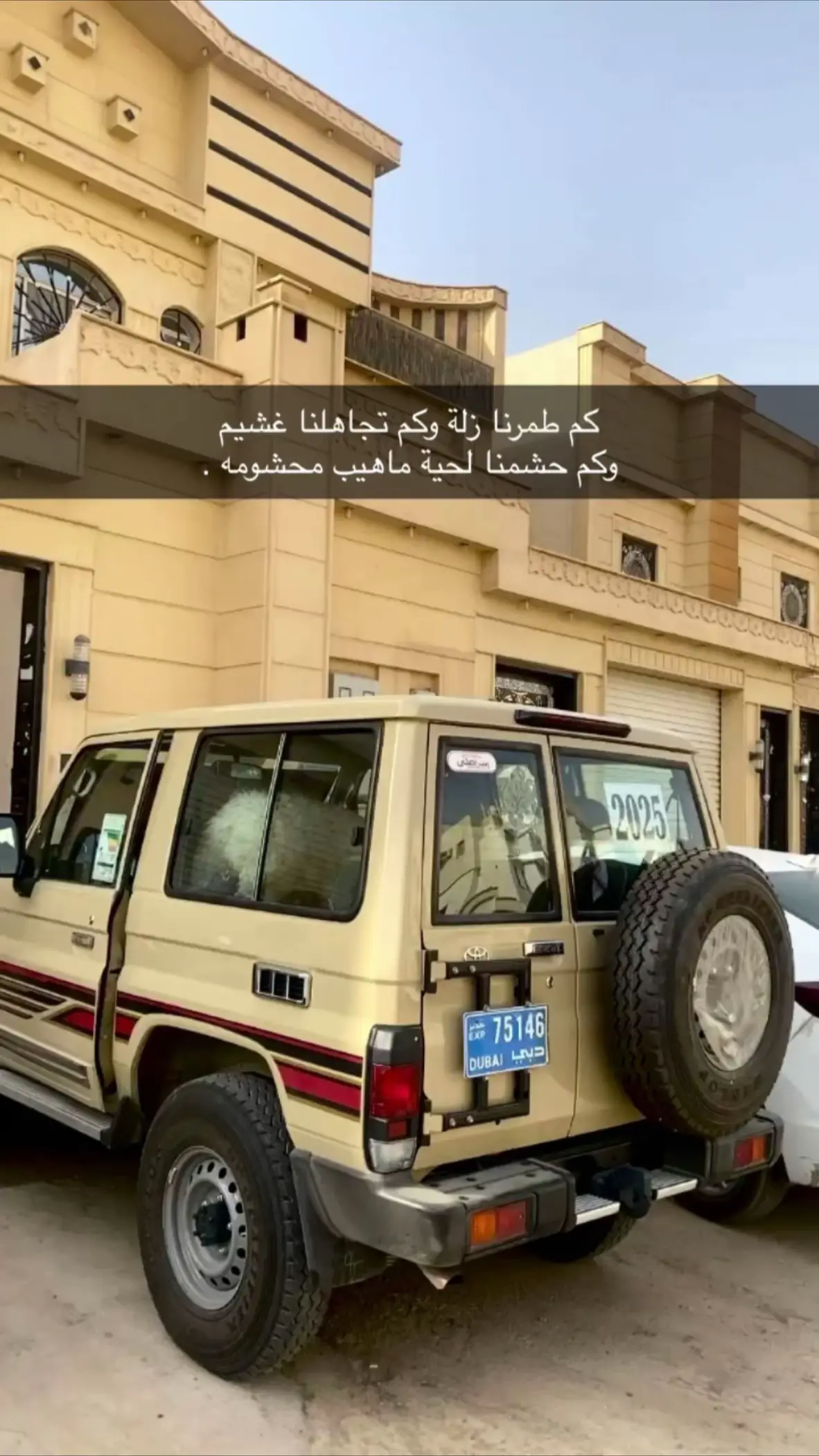 #اشعب_اصيني_مال_حال😹💔 