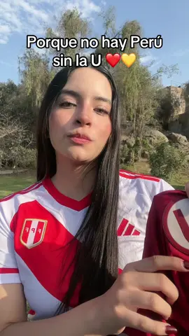 Porque no hay Perú sin la U 🇵🇪 ❤️💛 #peru #ydaleu #universitariodedeportes 