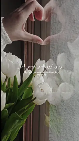 Ameen ya rab 🤍 #mother #islamic_video #islam #jannah #paradise #ameen #foryou 