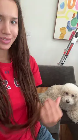 put a paw down with twin 