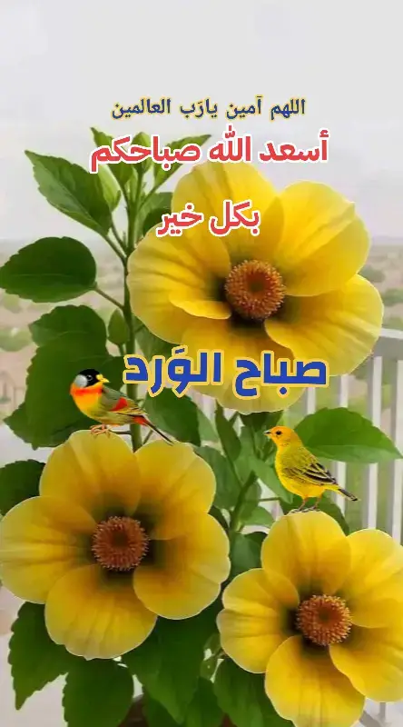 #صباحكم_أحلى_صباح🌹🌹  #صباح_الخير 