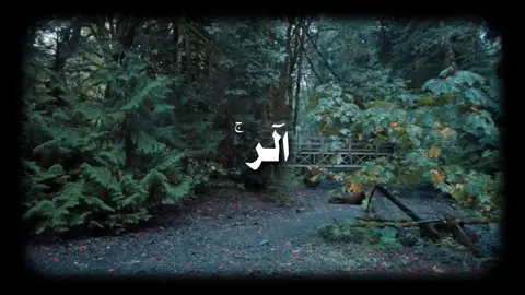 محمد المنشاوي | سورة الحجر #المنشاوي #سورة_الحجر #الر_تلك_ايات_الكتاب_وقرآن_مبين #ربما_يود_الذين_كفروا_لو_كانوا_مسلمين #قران_كريم #محمد_المنشاوي #اكسبلور #تلاوة #اللهم_صل_وسلم_على_نبينا_محمد 