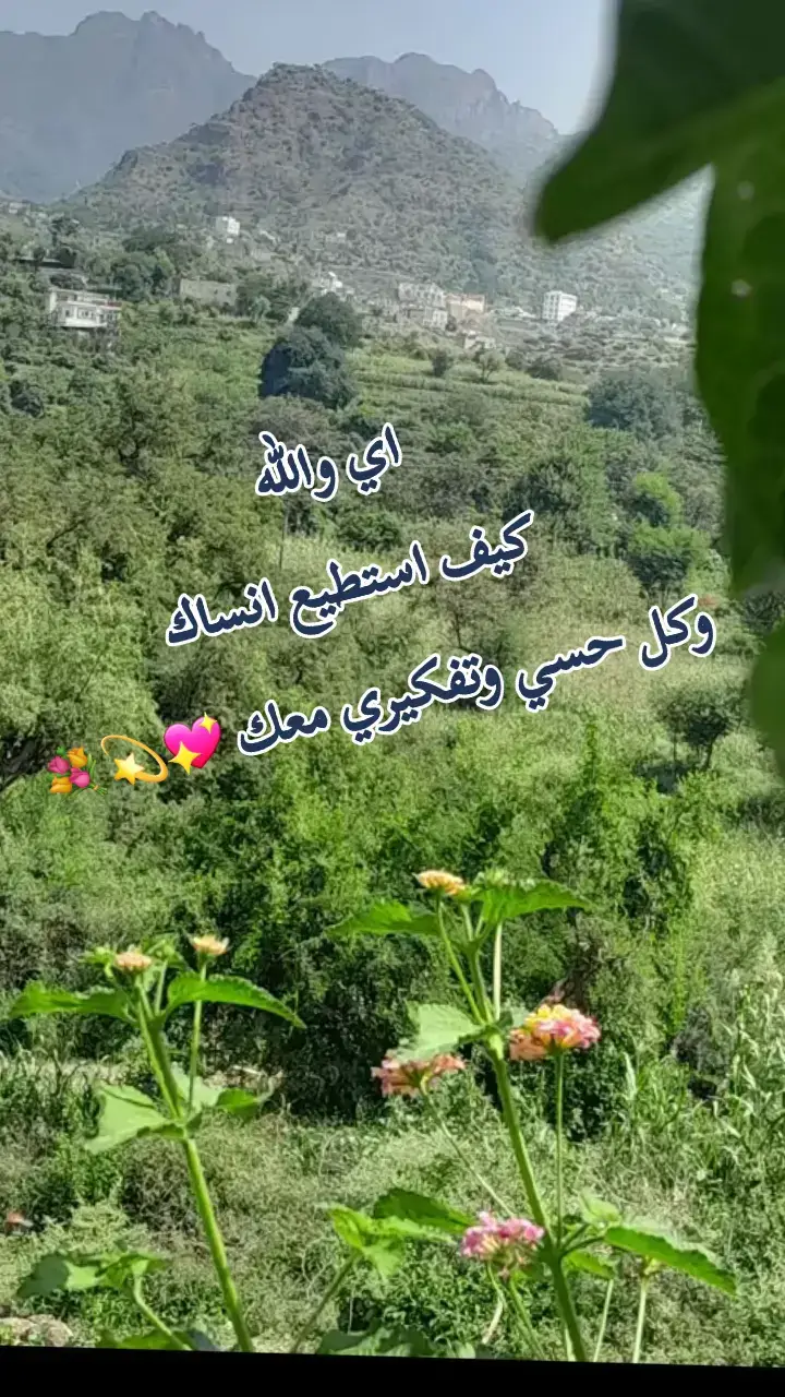 #مجرد________ذووووووق🎶🎵💞،☹ #اكسبلورررررررررررررررررررر💥🌟💥🌟💥💥🌟🌟🌟🌟🌟✨✨ 