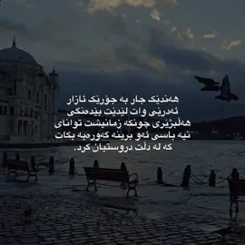 چونکە.. #istanbul #turkey #foryou #viral #turkish 