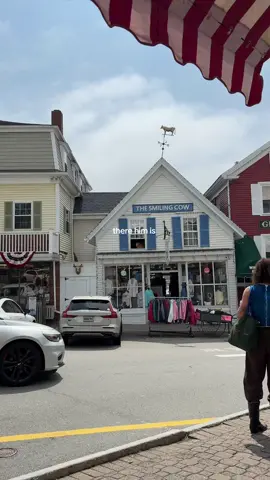 🐄