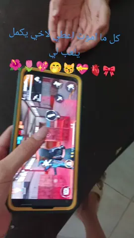 ،🫀💝😽🤭💖🌷🌺🎀✨