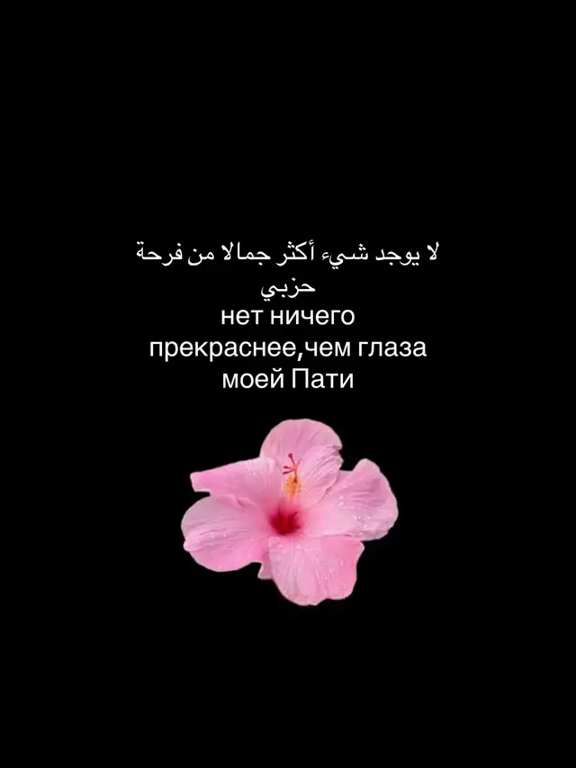 ответ пользователю @مهجر  #рекаминдации#исламрелигия#именадевушек#elbruso✨ 