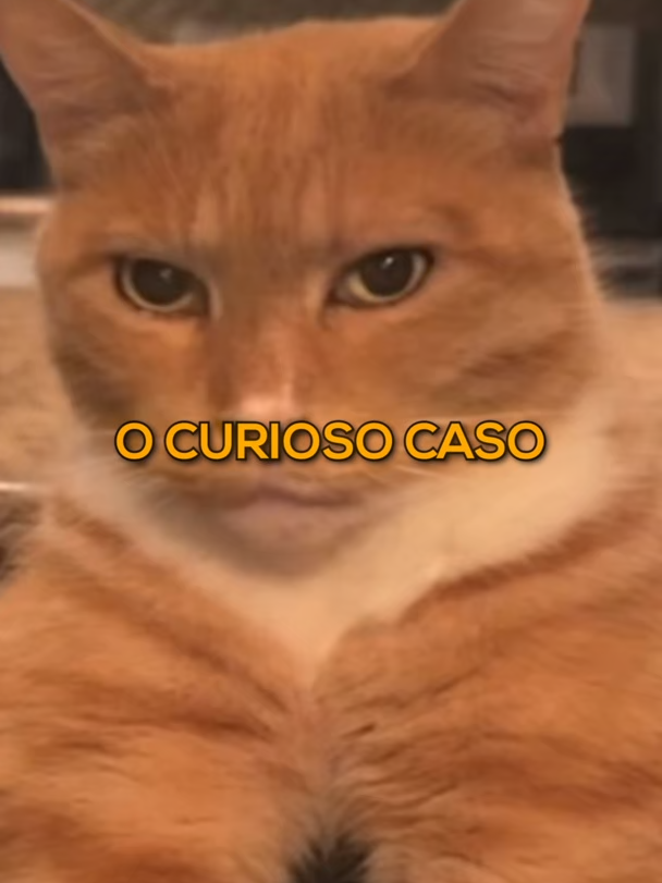 O CASO DO CHEIRADOR DE N4D*GASKKKKKK #meme #noticias #noticia