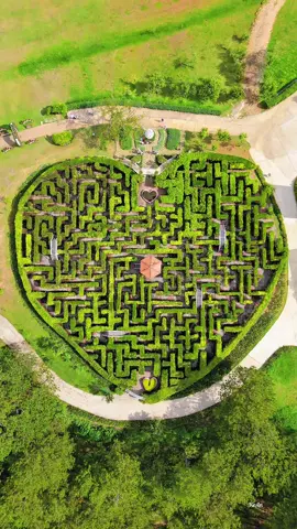 Mê cung tình yêu & Cầu kính 7D - Thung lũng Tình Yêu, Đà Lạt, Lâm Đồng 🇻🇳#ilovevietnam🇻🇳🇻🇳🇻🇳 #lamdong #dalat #thunglungtinhyeu #mecungtinh #caukinh7ddalat 