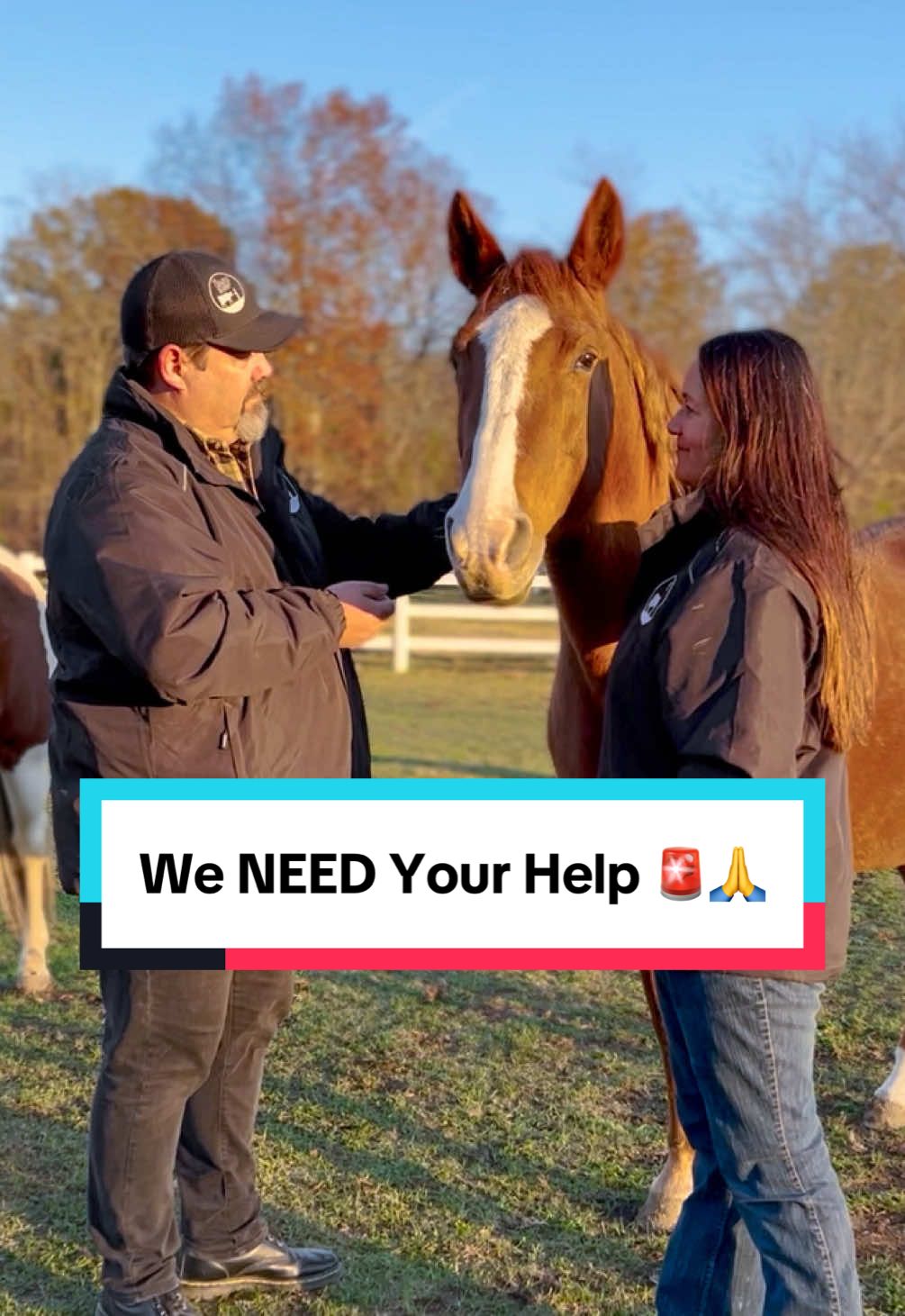 🚨The Gentle Barn is in serious trouble, and we NEED your help. For 25 years, we’ve rescued animals with nowhere else to go, animals who endured abuse, neglect, and trauma, and promised them they would be safe and loved for life. We’ve faced challenges before, but nothing like this. Without immediate support, we will be forced to make difficult decisions in the coming weeks that will impact the animals and communities who depend on us most. Like so many nonprofits, The Gentle Barn has been hit hard by reductions in grants, rising tariffs, skyrocketing prices, and overall economic uncertainty. We’ve done everything we can to cut costs and stretch our resources, but it’s simply not enough. We urgently need your help to keep The Gentle Barn moving forward. Your donation today will go directly to: 🟢 Daily Animal Care — Nutritious food, safe shelter, veterinary care, and essentials for nearly 200 animals across our sanctuaries. 🟢 Emergency Care — Lifesaving surgeries, diagnostics, and round-the-clock support. Each emergency can cost $10,000+ 🟢 Facility Repairs & Animal Transportation — Address critical infrastructure needs. 🟢 Outreach & Community Engagement — Expand programs that connect animals and people, grow our support network, and build a sustainable future. We know this is a big ask, but if you’ve ever believed in what we do, this is the moment to stand with us. Every dollar truly makes a difference. Together, we can overcome this crisis and keep our promise to the animals. Help us continue providing sanctuary, hope, and healing for animals and people alike.  DONATE NOW at the link in our bio ❤️ #farmanimalsanctuary #rescueanimals #nonprofit #support #thegentlebarn #weneedyou 