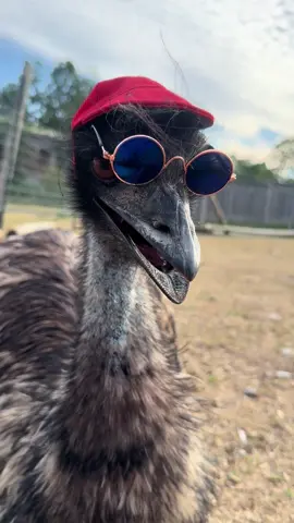 He remains cool as hellllll