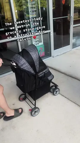 Take care of paws 🐾 #chihuahua #petstroller #happydog #Love #gay #lgbtq #wlw #puppy #dog