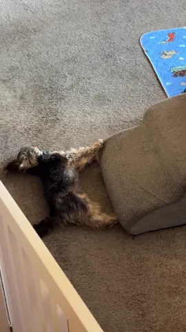 #heididutytime #heidihaus #opera