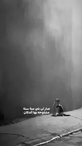 نطـرت مواعيــد الارض وما حـدا نطرنــي🩶 #فيروز #قط #موصل #fyp 