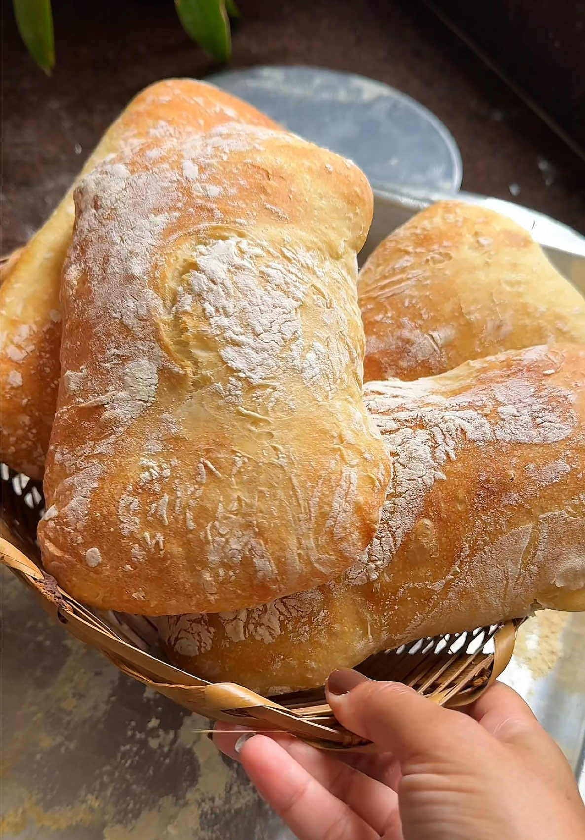 Ciabatta 💛 500g de farinha de trigo 400ml de água morna 10g de fermento biológico 1 colher de chá de sal 20ml de azeite Uma forma com água no forno. Ela cria vapor para dar a casquinha do pão. Forno pré-aquecido a 250 graus de 30 a 40 minutos. Vai acompanhando. Ps: eu unto a forma com um pouquinho de azeite e a coloco a farinha. ✅Já salva pra não perder #pão #pãocaseiro #ciabatta #pãosemsova #paofacil  