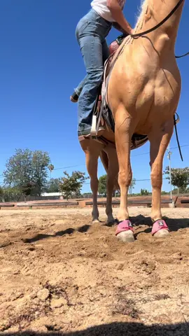 Ariat takes all my money #ariatjeans #ariatboots #18 #horses 