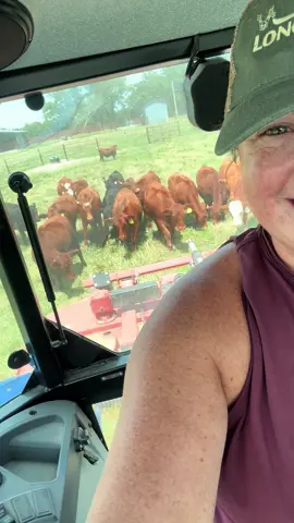 Oh hey girls 👋🏻 #noseybirds #justranchin #southernmo #drover 