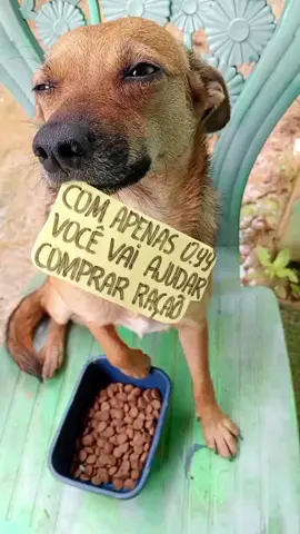 #salveumavida #fyp #doe #doacao #animais #boaação  #ajuda https://www.vakinha.com.br/5645677