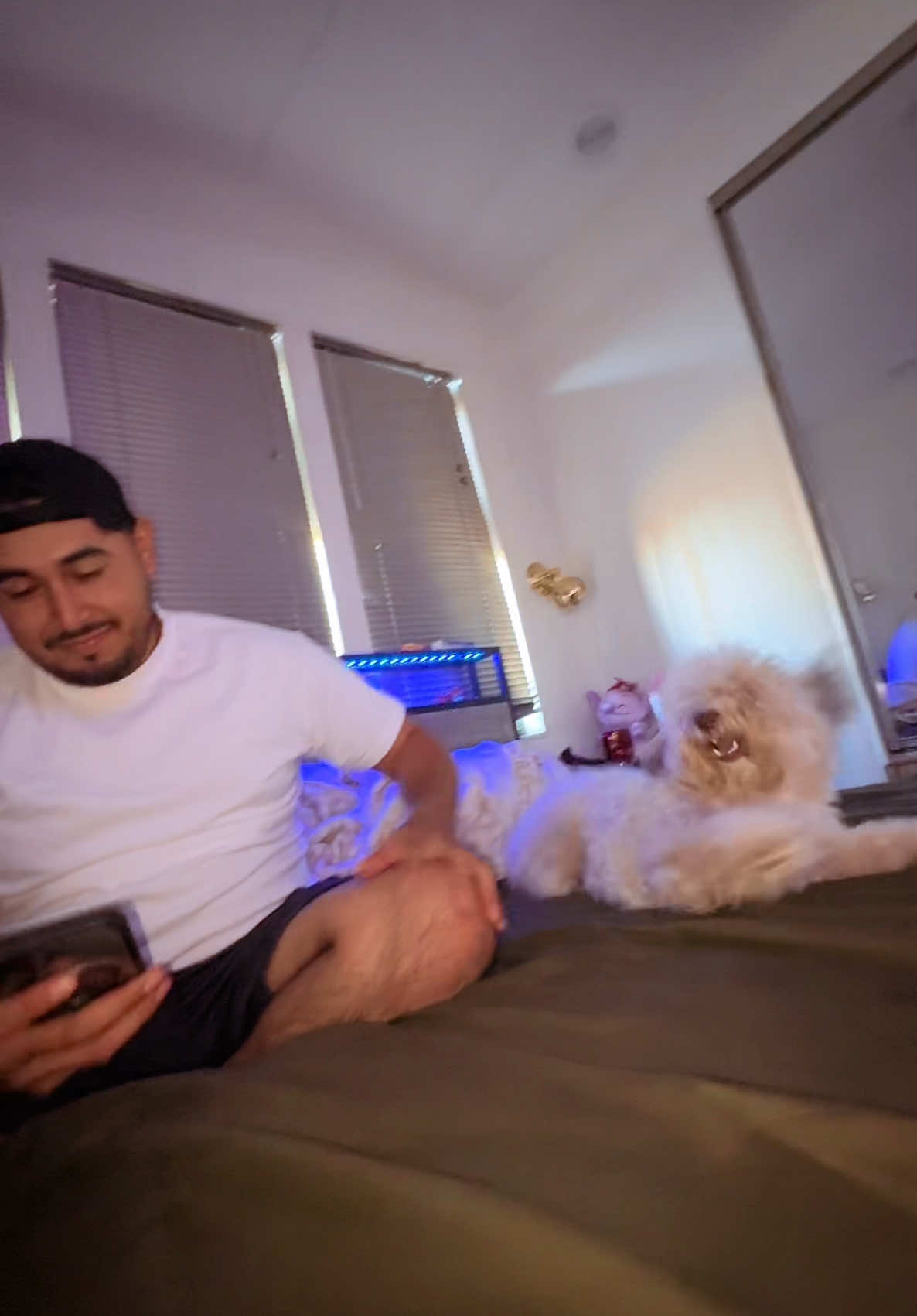 pobre leía 🤣 #perrihijostiktok #dogsoftiktok #fyppp #viral @ObedGh 
