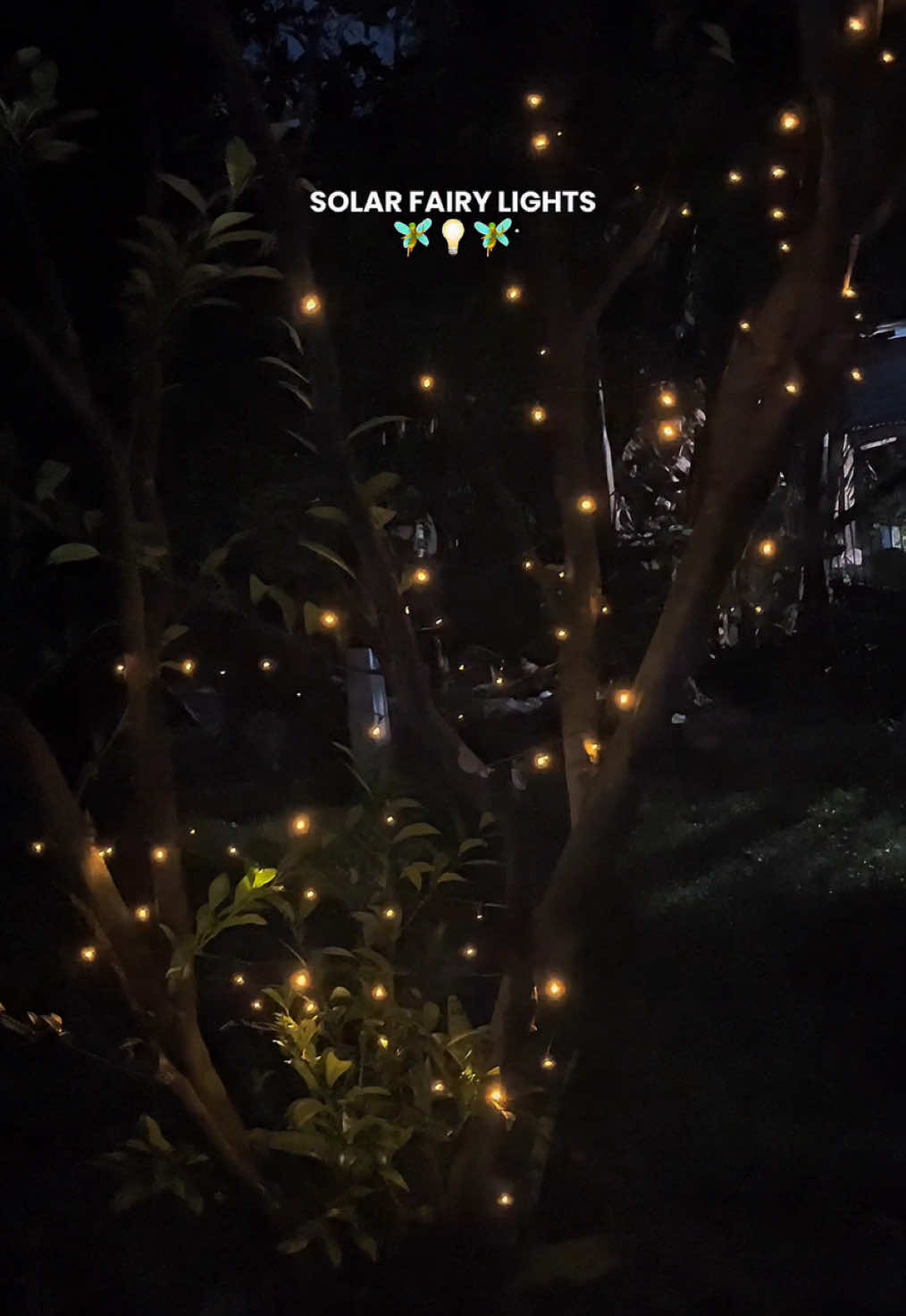 ✨ Turn any space into a fairy tale — no outlet needed! These Solar Fairy Lights are trending for a reason: 🌞 Charges during the day, magically lights up at night 💡 Warm white glow for cozy vibes 🌧️ Waterproof & weatherproof — perfect for gardens, patios, rooms & events 🎉 No electricity bills. Just pure ✨ aesthetic. #SolarFairyLights #HomeAestheticPH #OutdoorLighting #TikTokLights #GardenGlowUp #FairyLightsPH #fairylights #SolarPoweredDecor