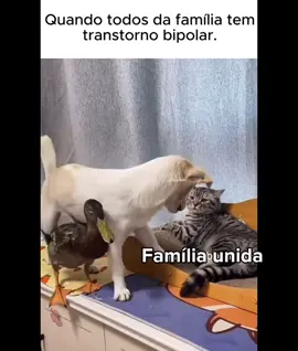 #cachorrosdotiktok #animaisengraçados #fyp #fy 