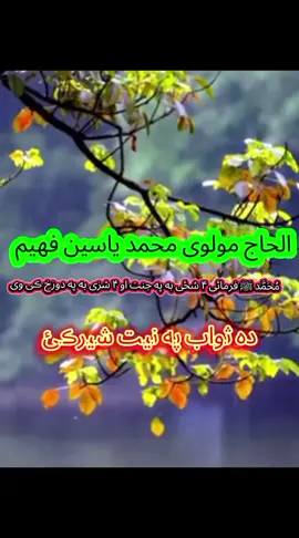 part 21 / Alhaj mavlavi muhammad yaseen faheem sab # new account support me @الحـاج مولـوی محمـدیـاسـین 💚 