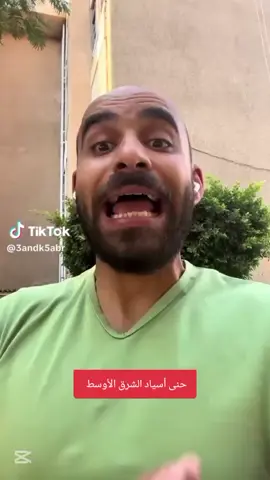#CapCut 
