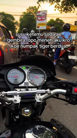 😋#rembang24jam #fyp #xybca #tigergank #pcgank🔥 #tigerpece #gl200🔥🚀 #galaubrutal #fyppppppppppppppppppppppp 
