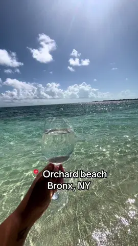 Unlike any other 😍  #fyp #vacation #beach #nyc #turksandcaicos #xyzbca 