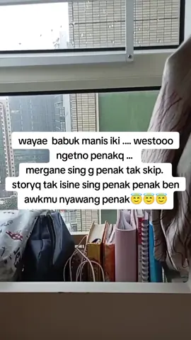 #babuhkg🇮🇩🇭🇰 hawane pengen kemulan ae