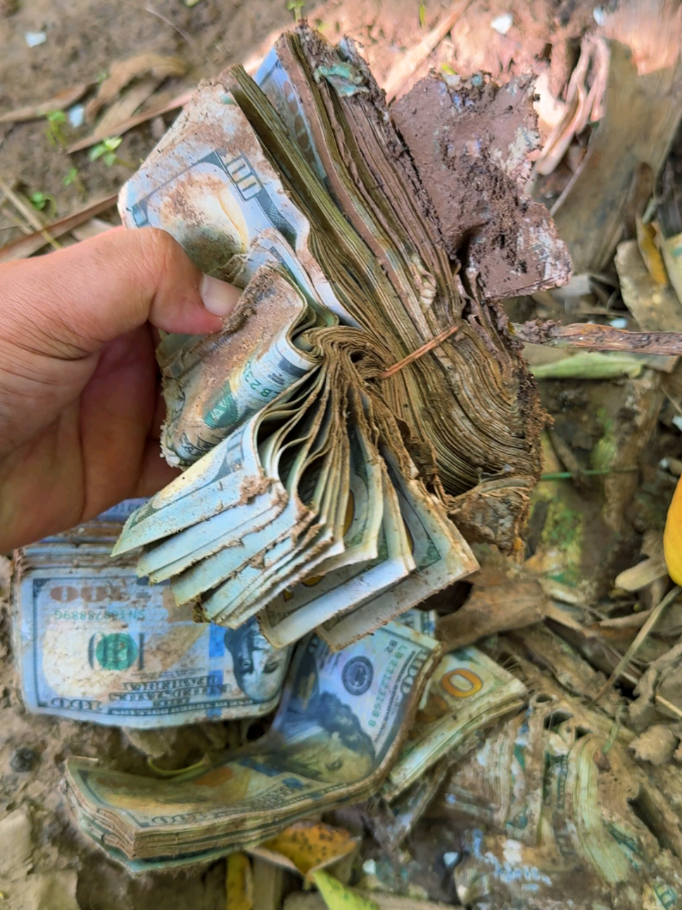 A pile of dollars. 690000$$ #money #dollars #viral #viralvideo #tiktok #fypシ #foryou #tiktokviral 