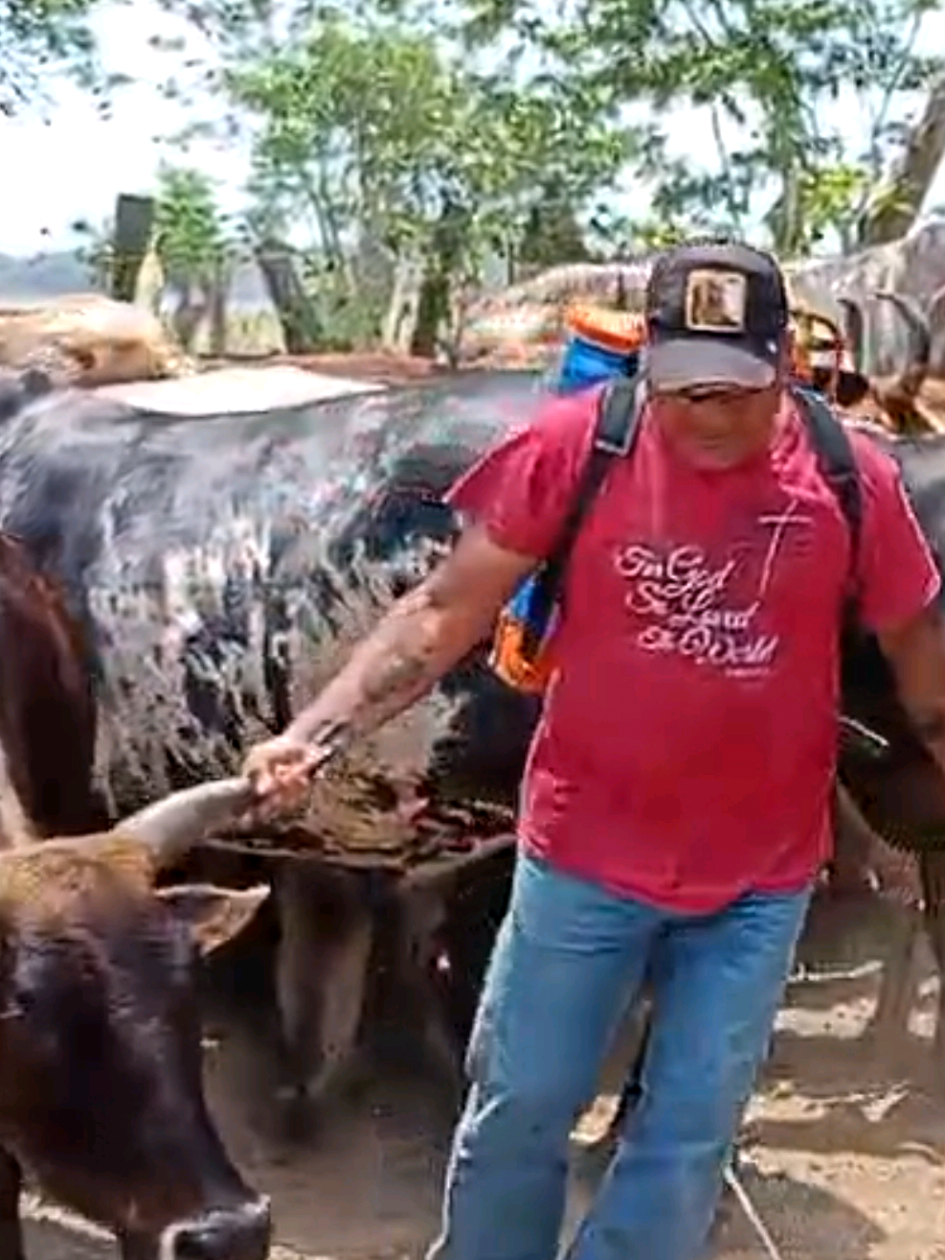 #viralvideo #fypviral #tucaramelito  #reflexionesdevida #parati #demiparati  #corridosalterados #pemex #pemextiktok  #defrentevoutepegar #musicapopular  #actitudespositivas #mentepositiva  #corridostumbados #almillonypasadito  #alfredoelpulpoofical #actitudpositiva  #carinleonmusic🎶🦁  #puropadelante #mhonividente #corridosalmillon  #andamosmuchomejorqueantes  #pensamiemtospositivos #bailarinas  #alfredoelpulpoofical #bailarinadelpulpo  #cocacolachallenge #cocacolaflowfest23  #retosdelacalle #tiktokhalloween #girls  #tiktokhazmeviral #al100ypasadito  #corridosalmillon #josejose #baile  #musicas #arianos #ferias #Arleth  #cardenastabasco #tucaramelito  #Viral #musicas #tabasco #Antro 