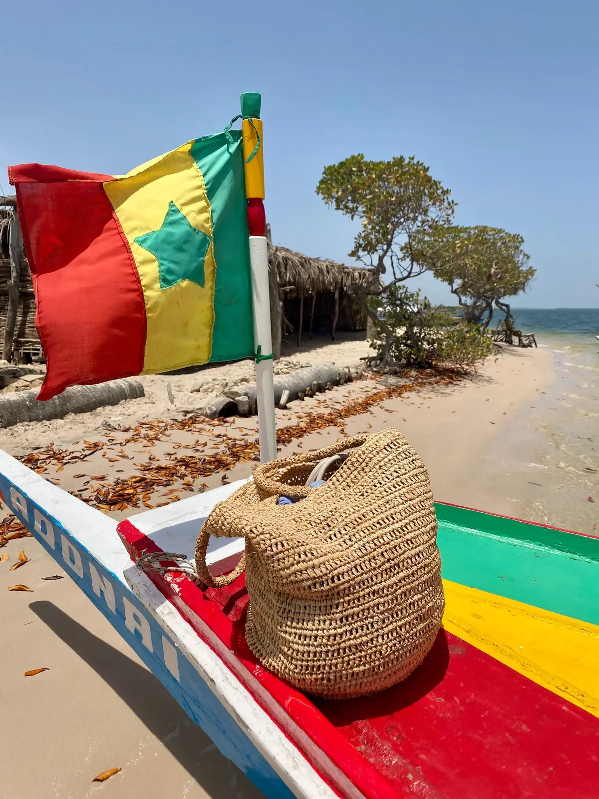 This was the perfect day spent in the beauitful mangroves and ending it with a lunch freshly cooked in front of us on the beach  #fypage #senegal #traveltiktok #africantiktok #senegaltiktok #viraltiktok #motherland #westafrica 