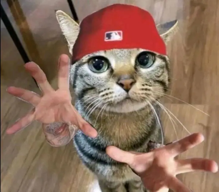 #limpbizkit #freddurst #numetal #cat #car #kitty