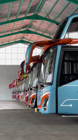 Ready Bigbus Di Bulan Agustus,Disewa Boleh Dibeli Juga Boleh,Lokasi Sumedang Jawa Barat😁 @Bravo Sierra Company #bravosierra #bravosierratrans #buspariwisata #sumedang #busmania 