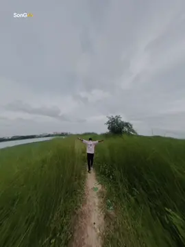 Song Ta...😅❤️‍🩹 #viraltiktok #trending #song #foryou @🦅 মিয়া ভাই 🖤🦅 @Bangladesh @tiktok #Foryou @TikTok 