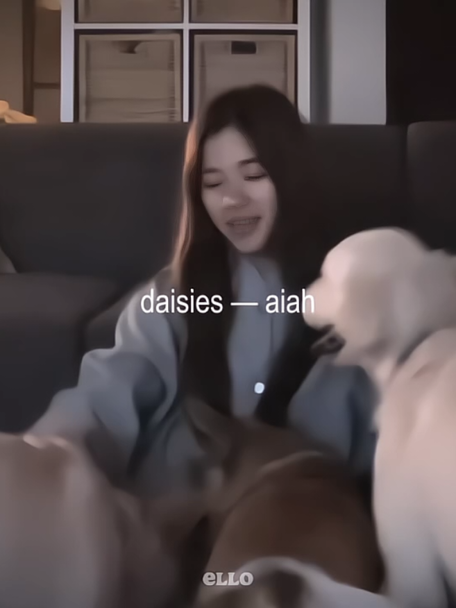 daisies — aiah | @Bini Aiah Arceta #biniaiah #foryoupage #biniph #🐶 