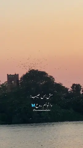 مش بس حَبيب؛ دا توأم روح🦋 #حسين_الجسمى #توأم_روح #بدون_موسيقي #أغاني_بدون_موسيقى #اناوالقمر #انا_و_القمر 