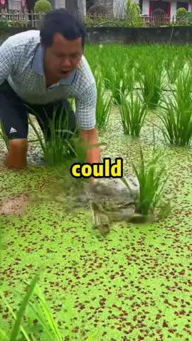 what's the worst nightmare burglar could ever face? #ask#askresddit#LearnOnTikTok#reddit#story#satisfying#relaxing#fyp 