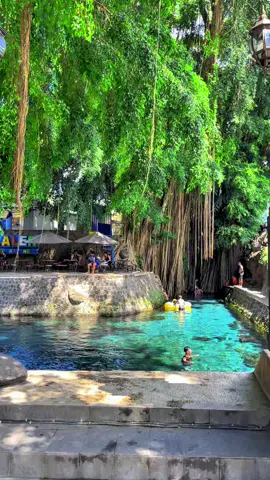 Salah satu umbul favorit di Klaten. #umbul #sigedang #klaten24jam #klatenbersinar #nature 