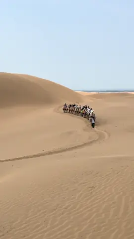 Endless Horizon #innermongolia #desert #ordos #travel 