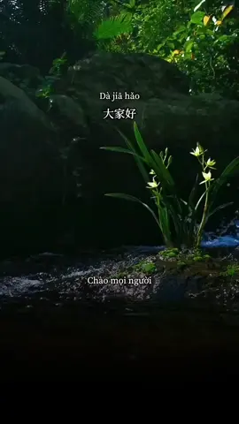 Phần 4 | 我应该给我的宝宝取什么名字? | Tôi nên đặt tên con mình là gì? | Luyện nghe tiếng trung mỗi ngày 