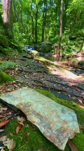 #বেশি_বেশি_লাইক_শেয়ার_করুন #বেশি_বেশি_কপিলিং_করেন_প্লিজ 