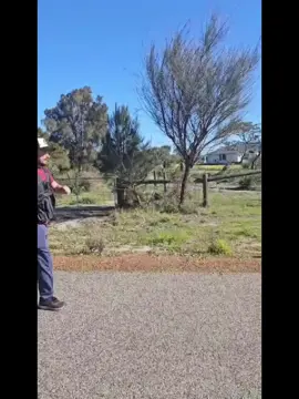 Short on time? Want a science based, time efficient, free exercise? #japaneseintervalwalking instructions in the video add a #weightedvest to maximise results