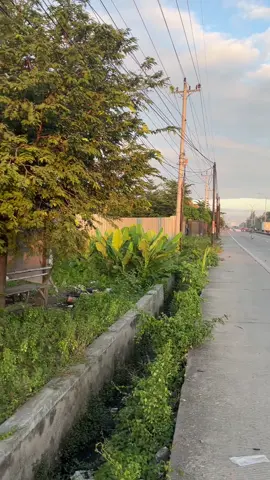 #foryou #fyp #fyp #masukberanda 