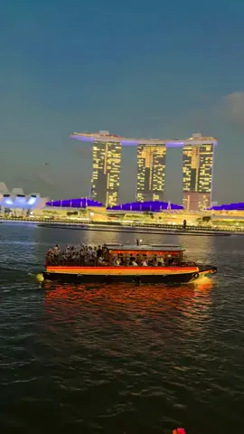 Beautiful city in the world Singapore #marinabaysandssingapore #bestplacesingapore #beautfullplacesingapore #singapore #foryou 